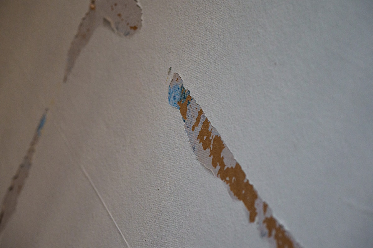 Commercial Water Damage service in Titusville, FL